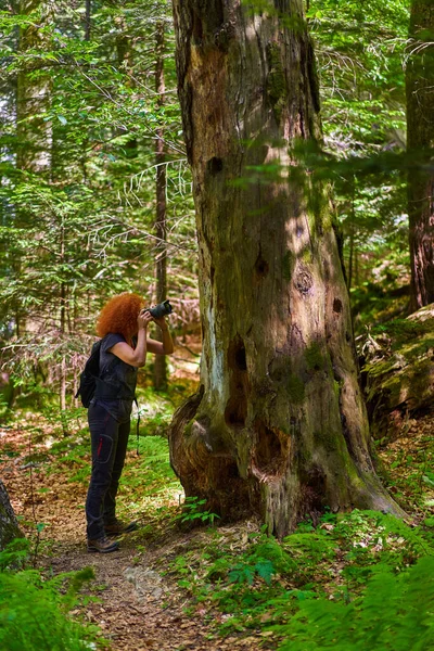 Nature Photographer Lady Camera Backpack Hiking Trail Forest Mountain — Stock Photo, Image