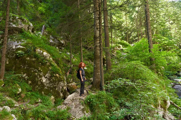 Nature Photographer Lady Camera Backpack Hiking Trail Forest Mountain — kuvapankkivalokuva