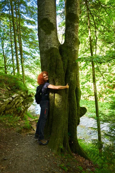 Hiker Lady Hugging Tree Hiking Trail Forest — Stock fotografie