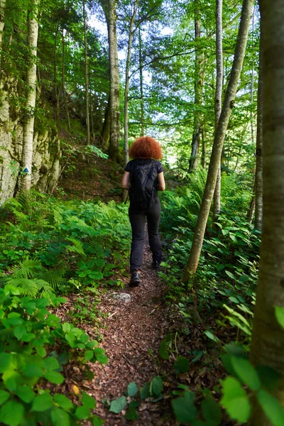 Nature Photographer Lady Camera Backpack Hiking Trail Forest Mountain — Stock Photo, Image