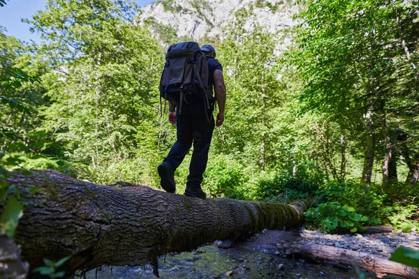 Male Nature Photographer Heavy Backpack Crossing River Fallen Tree —  Fotos de Stock