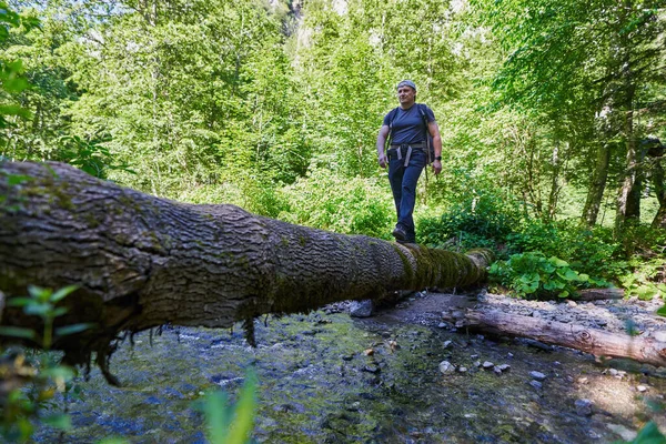 Male Nature Photographer Heavy Backpack Crossing River Fallen Tree — Fotografia de Stock