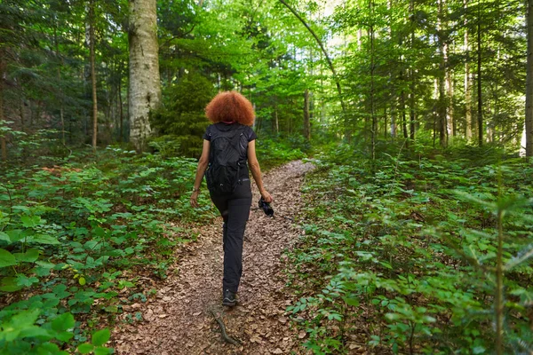 Female Nature Photographer Camera Backpack Hiking Trail Forest — Stock Fotó