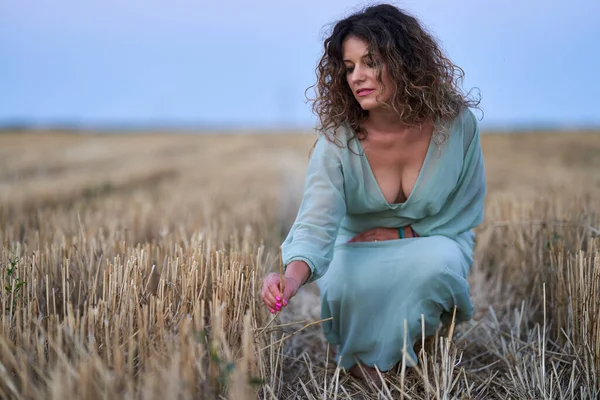 Curly Haired Caucasian Woman Harvested Wheat Field Sunset Portrait Selective — Zdjęcie stockowe