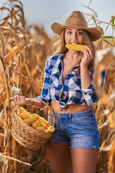 Happy Velikost Krásná Farmářka Košíkem Kostkovaných Džínách Šortky Klobouk Sklizeň — Stock fotografie