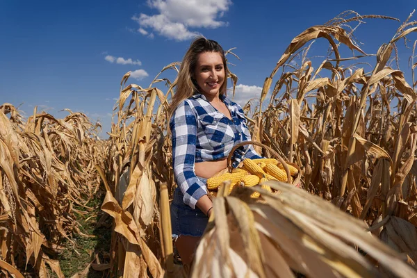 Boldog Plusz Méret Gyönyörű Farmer Egy Kosár Kockás Farmer Rövidnadrág — Stock Fotó