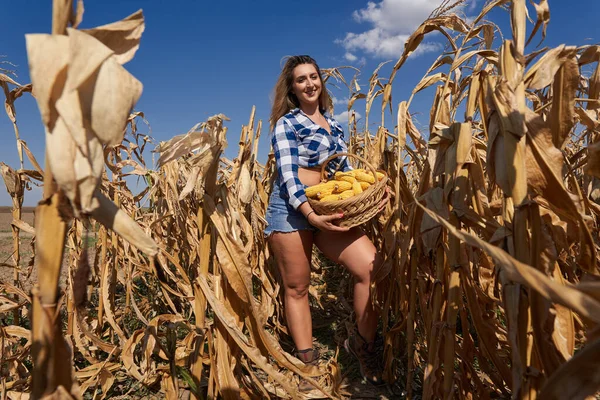 Happy Velikost Krásná Farmářka Košíkem Kostkovaných Džínách Šortky Klobouk Sklizeň — Stock fotografie