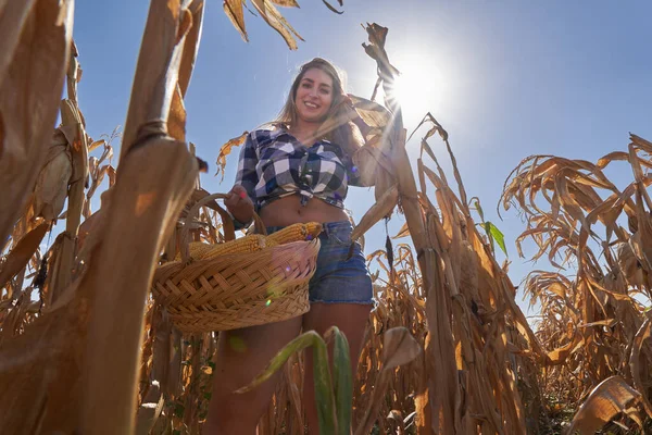 Happy Velikost Krásná Farmářka Košíkem Kostkovaných Džínách Šortky Klobouk Sklizeň — Stock fotografie