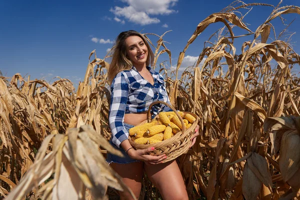 Happy Velikost Krásná Farmářka Košíkem Kostkovaných Džínách Šortky Klobouk Sklizeň Stock Fotografie