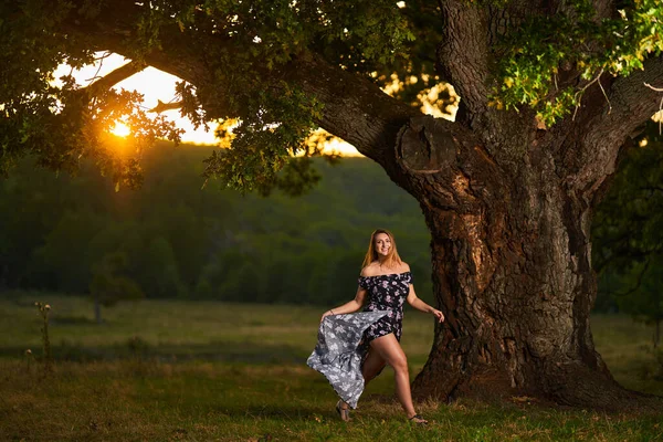美丽的印度姑娘 日落时分 在森林前面一棵非常大的百年橡树旁 — 图库照片