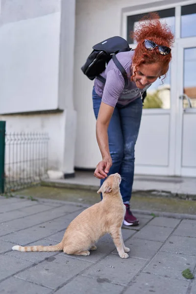 一个女人在人行道上摸一只迷途的橙色猫 — 图库照片