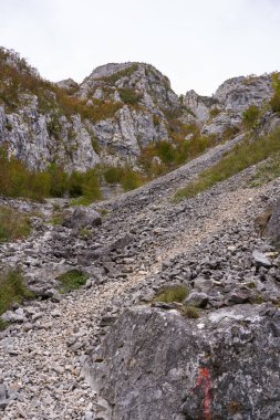 Sonbaharın başında kayalık dağlar ve ormanlar ile manzara