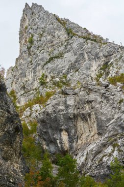 Sonbaharın başında kayalık dağlar ve ormanlar ile manzara