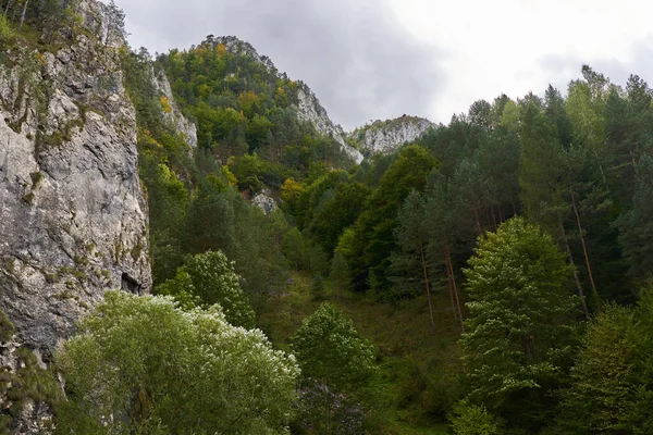 Paisaje Con Montañas Rocosas Bosques Principios Otoño — Foto de Stock