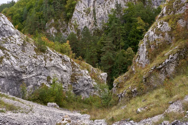 Landschap Met Rotsachtige Bergen Bossen Aan Het Begin Van Herfst — Stockfoto