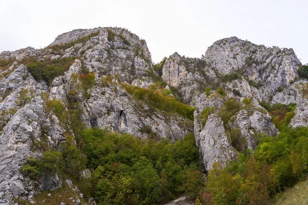 Пейзаж Скелястими Горами Лісами Початку Осені — стокове фото