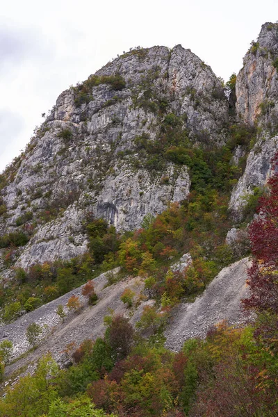 Пейзаж Скелястими Горами Лісами Початку Осені — стокове фото