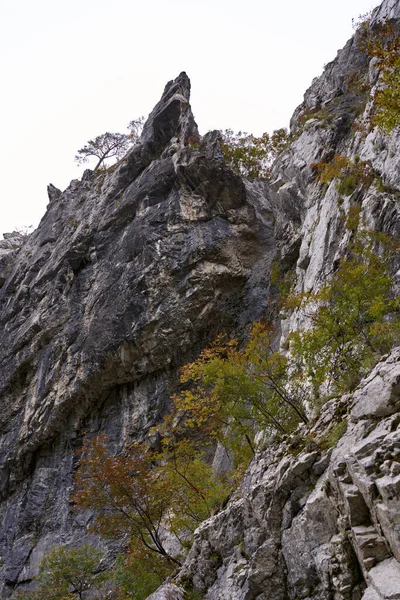 Пейзаж Скелястими Горами Лісами Початку Осені — стокове фото