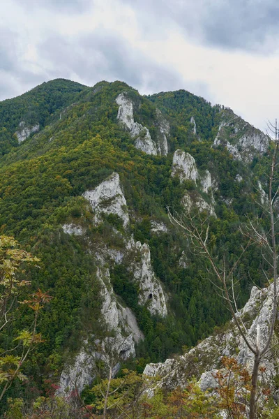 Paisagem Com Montanhas Rochosas Florestas Início Outono — Fotografia de Stock