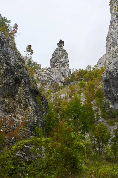 Landschap Met Rotsachtige Bergen Bossen Aan Het Begin Van Herfst — Stockfoto