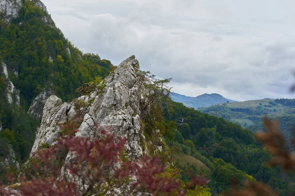 Paysage Avec Montagnes Rocheuses Forêts Début Automne — Photo