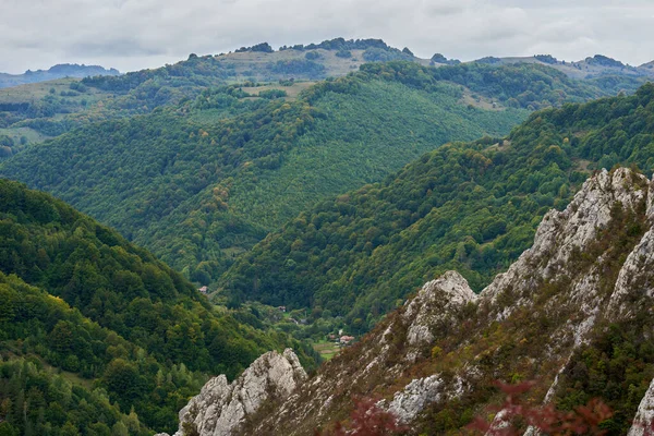 秋の初めに岩の多い山や森の風景 — ストック写真