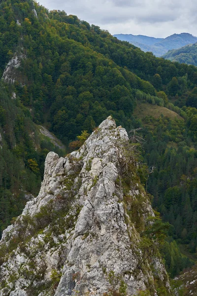 秋天开始时的岩石山和森林景观 图库图片