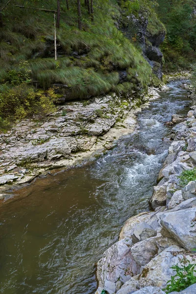 Río Sobre Lecho Rocoso Las Montañas Plano Paisaje Vertical —  Fotos de Stock