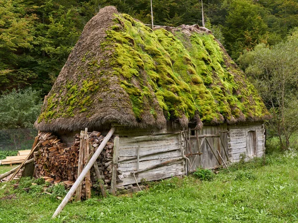 魅惑の森の屋根の上に苔のあるおとぎ話の納屋 — ストック写真