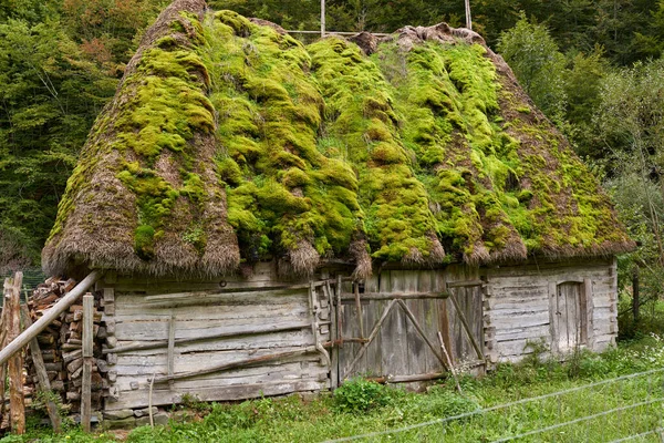 魅惑の森の屋根の上に苔のあるおとぎ話の納屋 — ストック写真