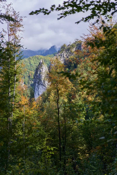 Τοπίο Ασβεστολιθικά Βραχώδη Βουνά Καλυμμένα Πλούσια Δάση — Φωτογραφία Αρχείου