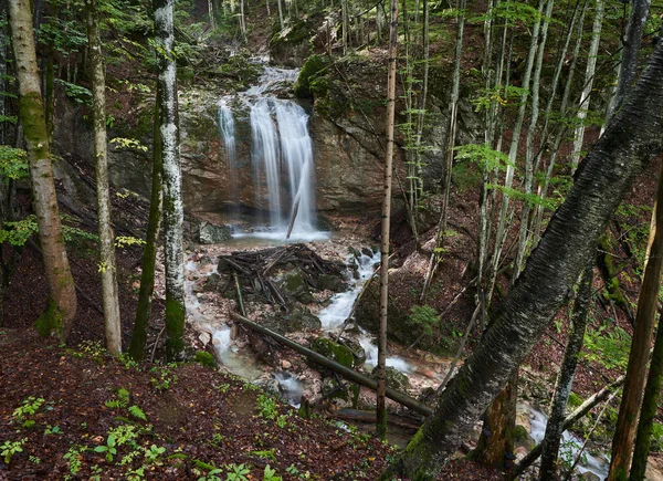 Paisaje Con Una Cascada Los Exuberantes Bosques — Foto de Stock