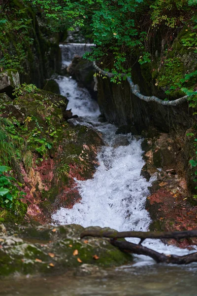 River Rapids Fast Flowing Water Mountains Rain — Stock Photo, Image