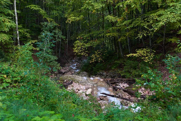 Stromschnellen Mit Schnell Fließendem Wasser Den Bergen Nach Regen — Stockfoto