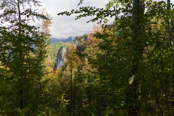 Krajina Vápencovými Skalnatými Horami Pokrytými Bujnými Lesy — Stock fotografie