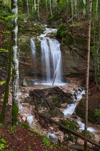 Krajina Vodopádem Bujných Lesích — Stock fotografie