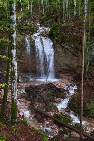 Landscape Waterfall Lush Forests — Stock Photo, Image