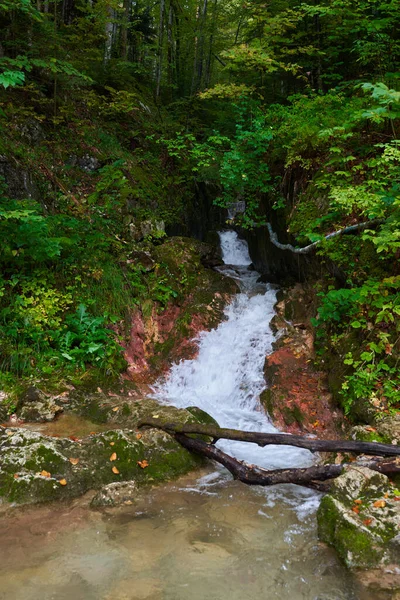 River Rapids Fast Flowing Water Mountains Rain — Stock Photo, Image