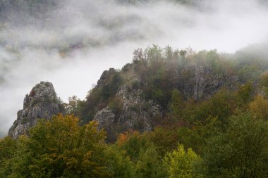 Dağ zirveleri ve sisli ormanları olan bir manzara.