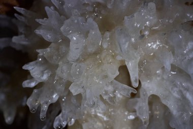 Terk edilmiş bir madendeki mağaranın çeşitli dalgasındaki kristaller.