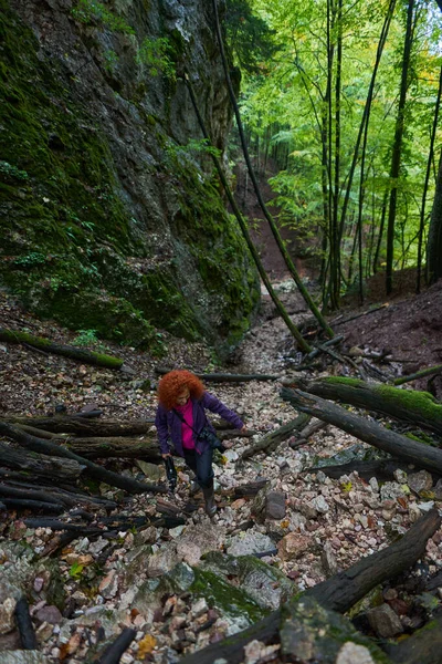 女性の自然写真家は彼女のカメラで山の森にハイキング — ストック写真