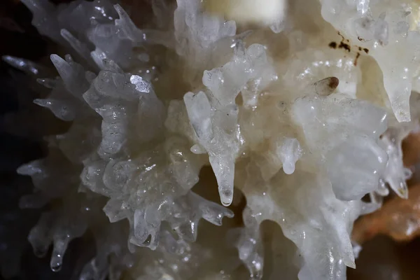 Crystals Various Speleothems Cave Abandoned Mine — Stock Photo, Image