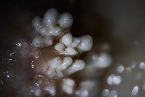 Cristais Vários Espeleotemas Numa Caverna Numa Mina Abandonada — Fotografia de Stock