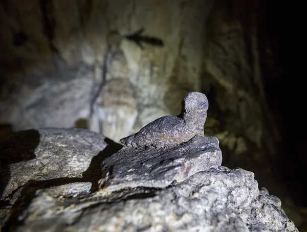 Grot Met Verschillende Speleothems Kalksteenbergen — Stockfoto