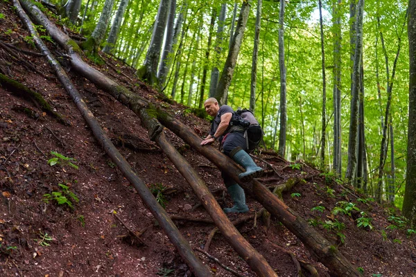 Professionele Natuurfotograaf Wandelen Bergbossen Met Camera Rugzak — Stockfoto