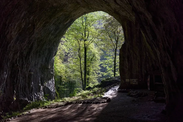 Grotta Con Vari Speleotemi Montagne Calcaree — Foto Stock