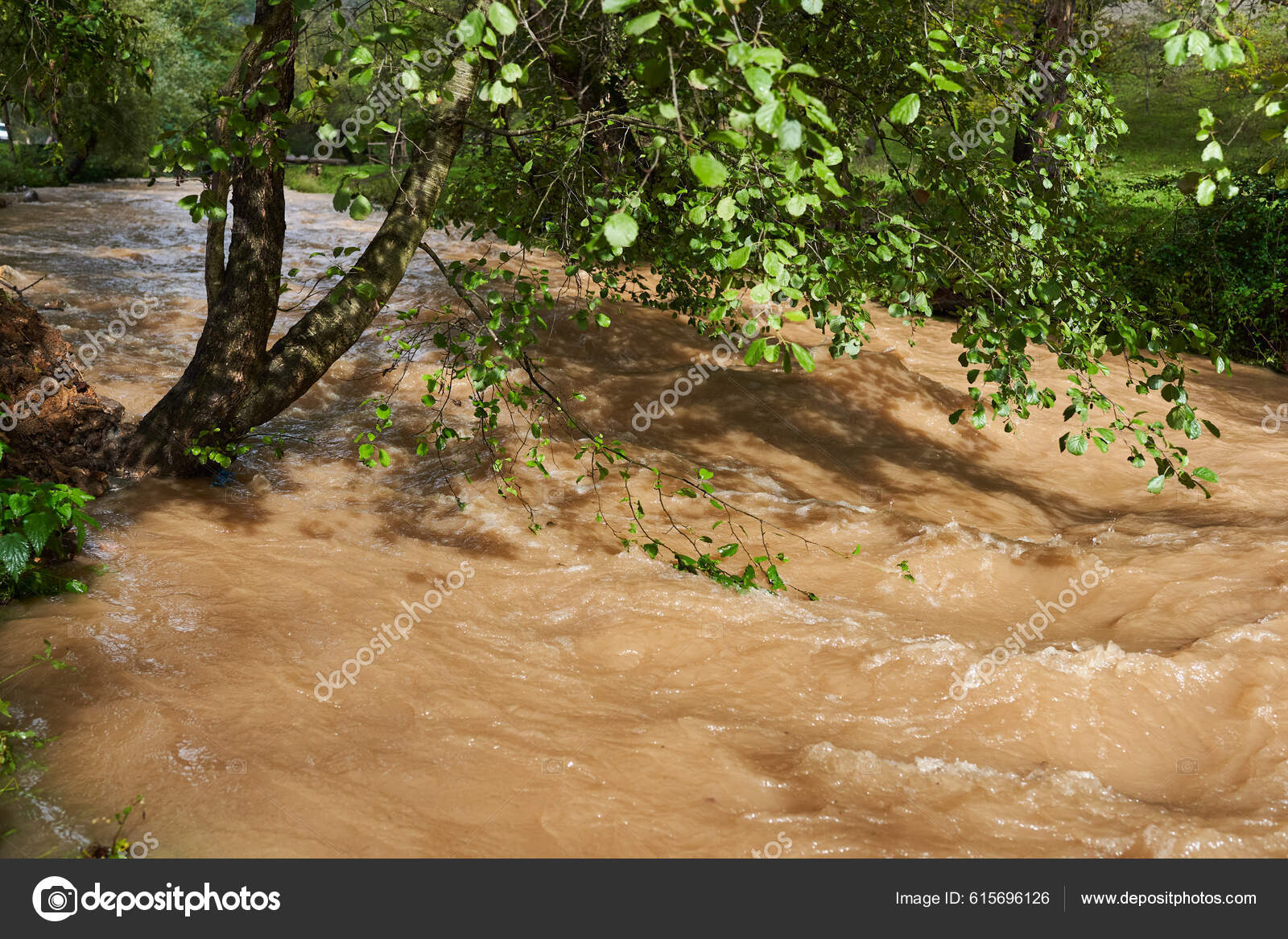 River Flooding Muddy Waters Making Rapids Waves — Stock Photo © Xalanx  #615696126, image size:1600x1167