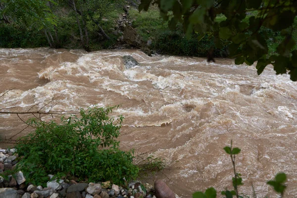 Flussüberschwemmungen Mit Schlammigem Wasser Machen Stromschnellen Und Wellen — Stockfoto