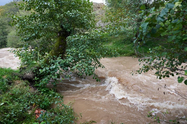 River Flooding Muddy Waters Making Rapids Waves — Stock Photo, Image