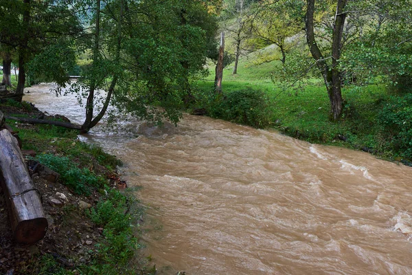 Inondation Des Rivières Avec Des Eaux Boueuses Faisant Des Rapides — Photo